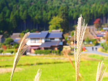 きたやまのひとりごと・・・